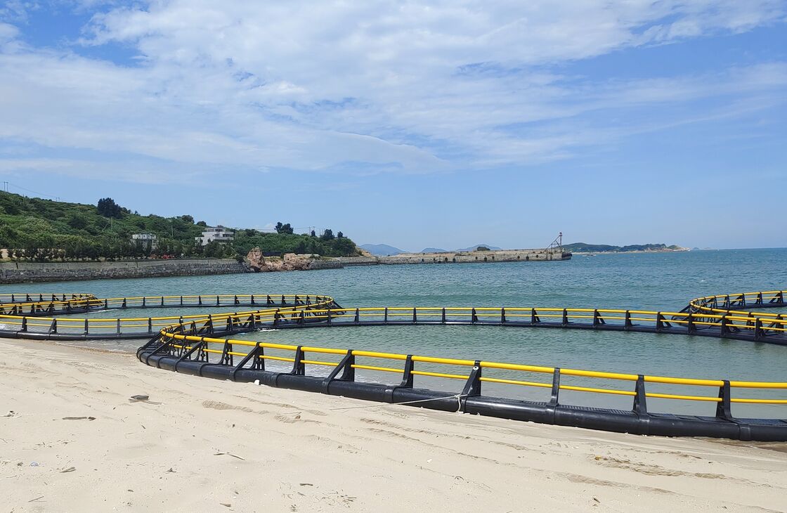 From Premium HDPE Fish Cage to Premium Market Price: Boost Your Ghana Fish Farm