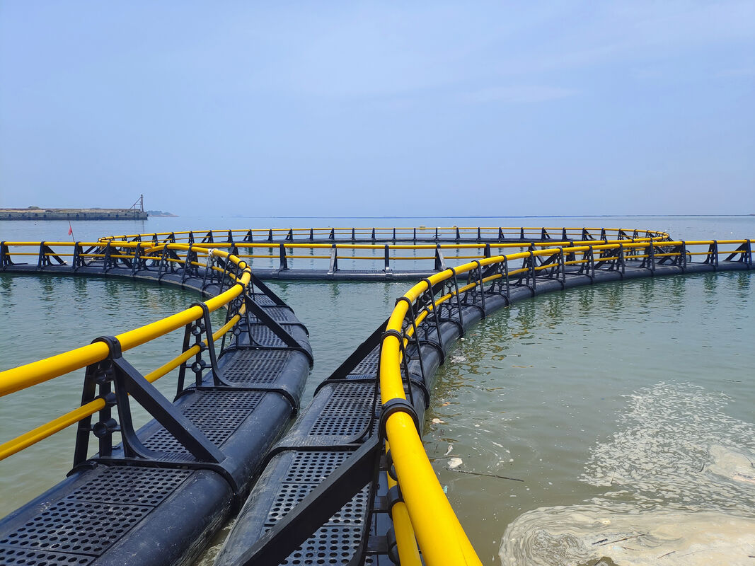 Invest in Premium HDPE Fish Cages: Secure Better Taste and Higher Market Prices