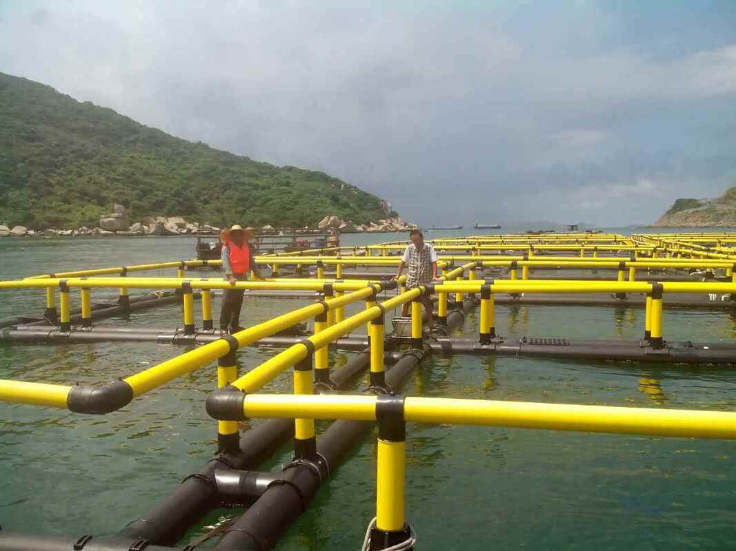 The Smart Choice for Ghana Aquaculturists: Premium HDPE Fish Cages for Peak Prices