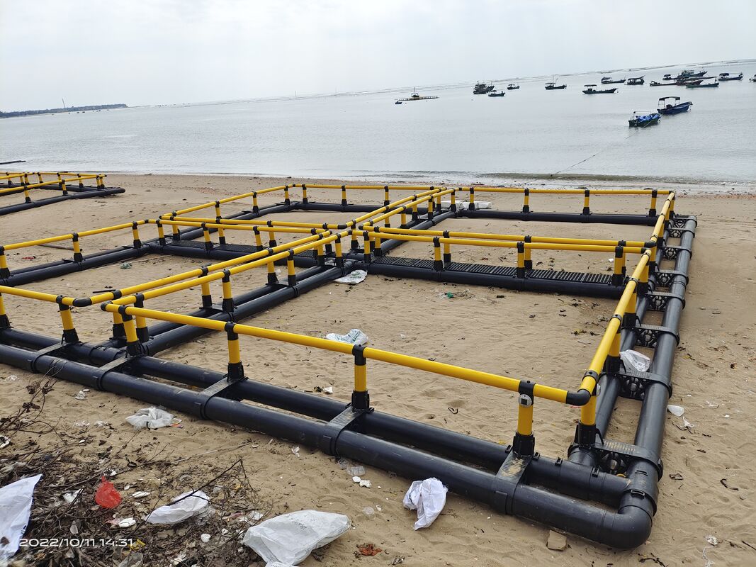 The Smart Choice for Ghana Aquaculturists: Premium HDPE Fish Cages for Peak Prices