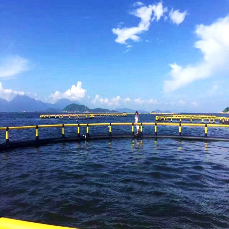 Round HDPE Anti-wave Offshore Fish Cage