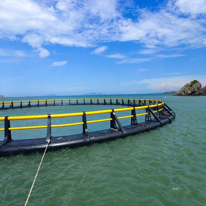Round HDPE Anti-wave Offshore Fish Cage
