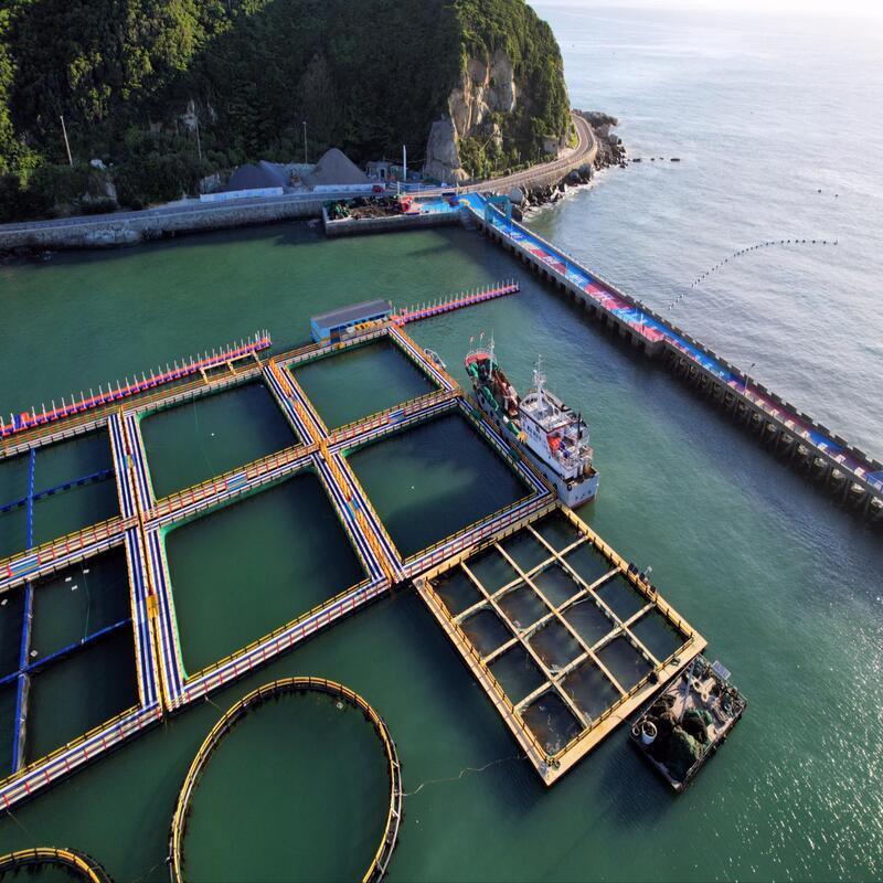 Square Floating Freshwater Fish Cage