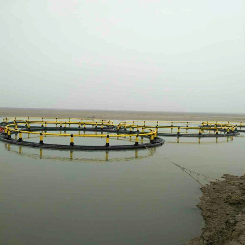 Submersible Typhoon-Resistant Fish Cage