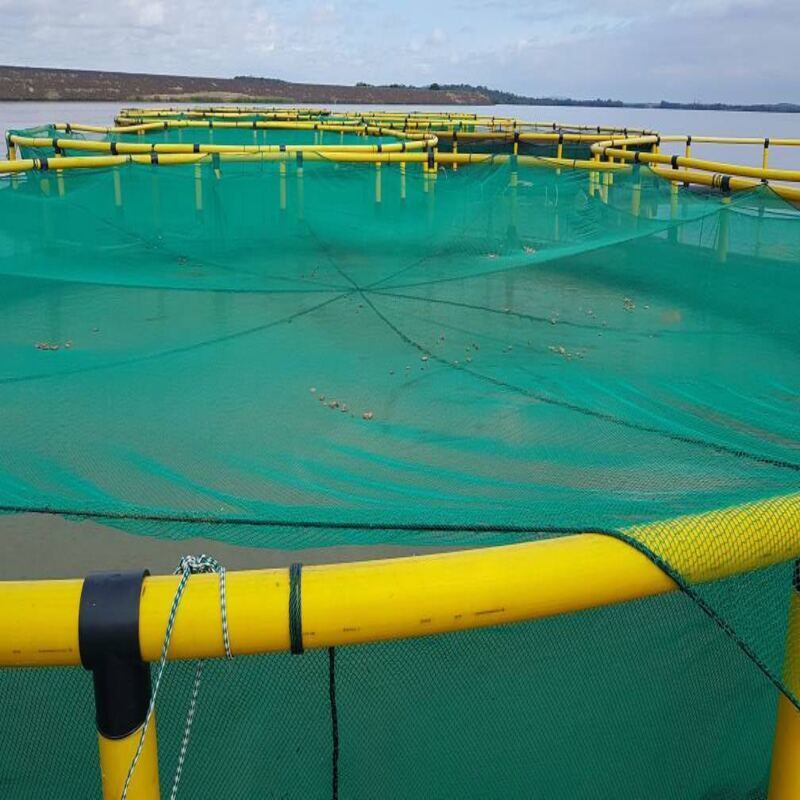 Submersible Typhoon-Resistant Fish Cage