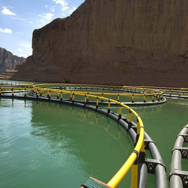 Submersible Typhoon-Resistant Fish Cage