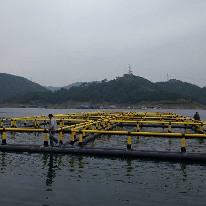 Closed Anti-escape Fish Fingerling Cage
