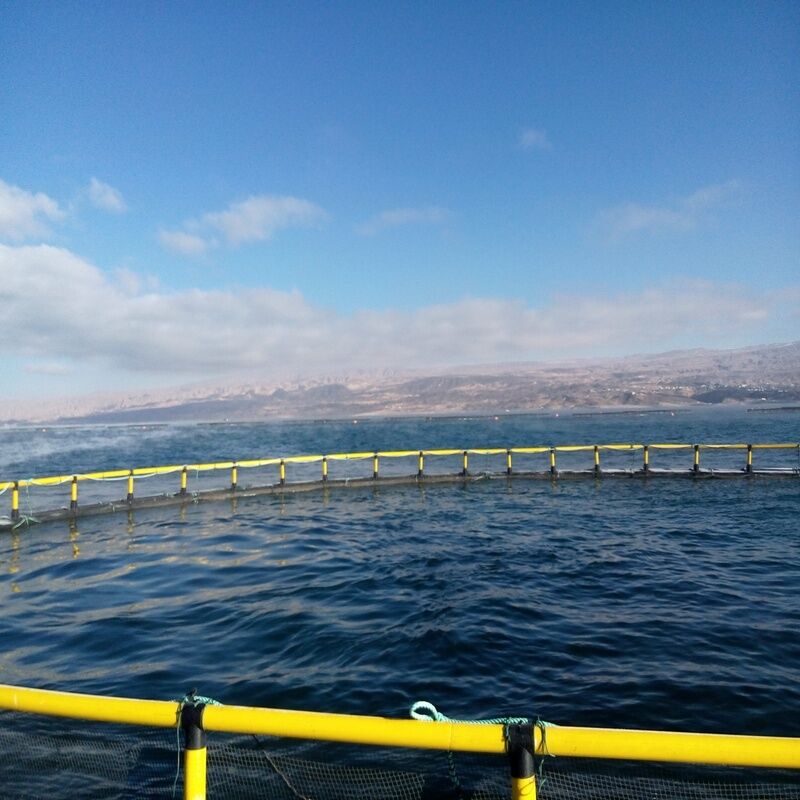 Eco-friendly Zero-feeding Fish Cage