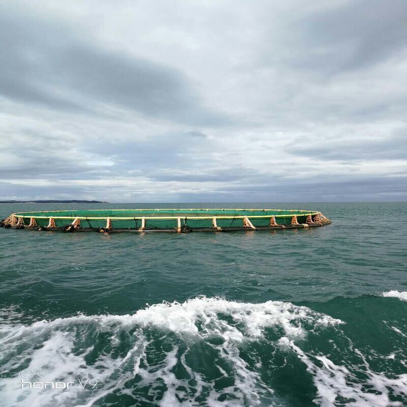 Round HDPE Anti-wave Deep Sea Fish Cage