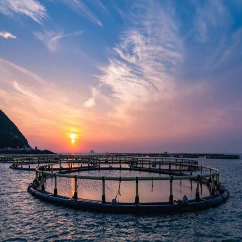 Round HDPE Anti-wave Deep Sea Fish Cage