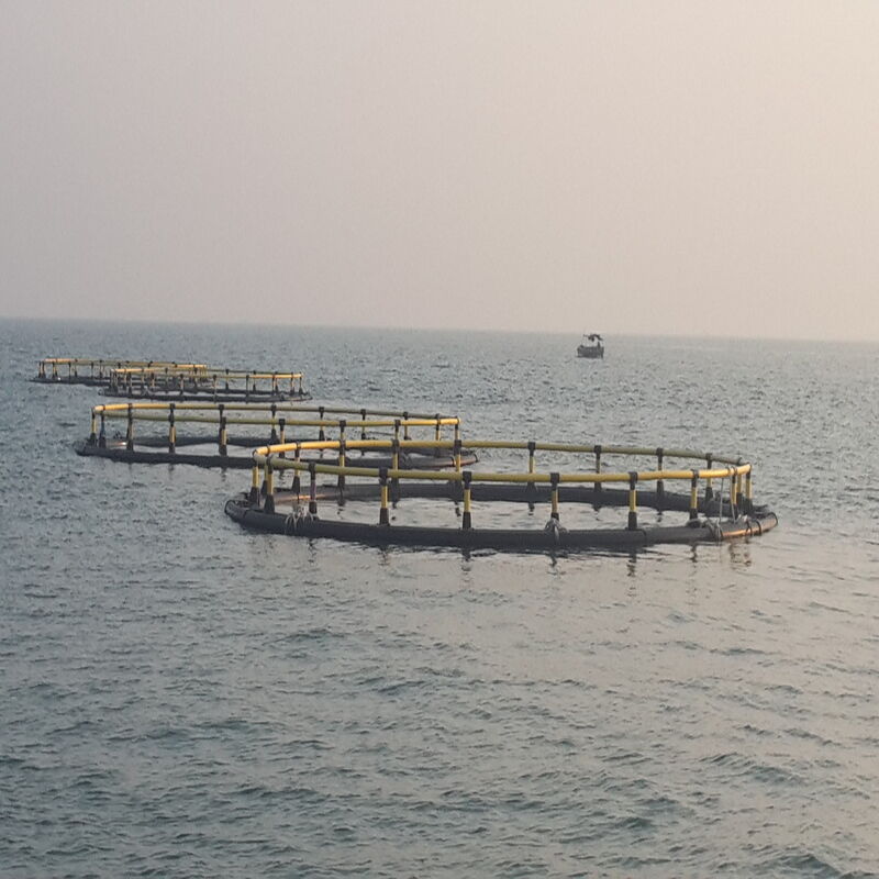 Round HDPE Anti-wave Deep Sea Fish Cage