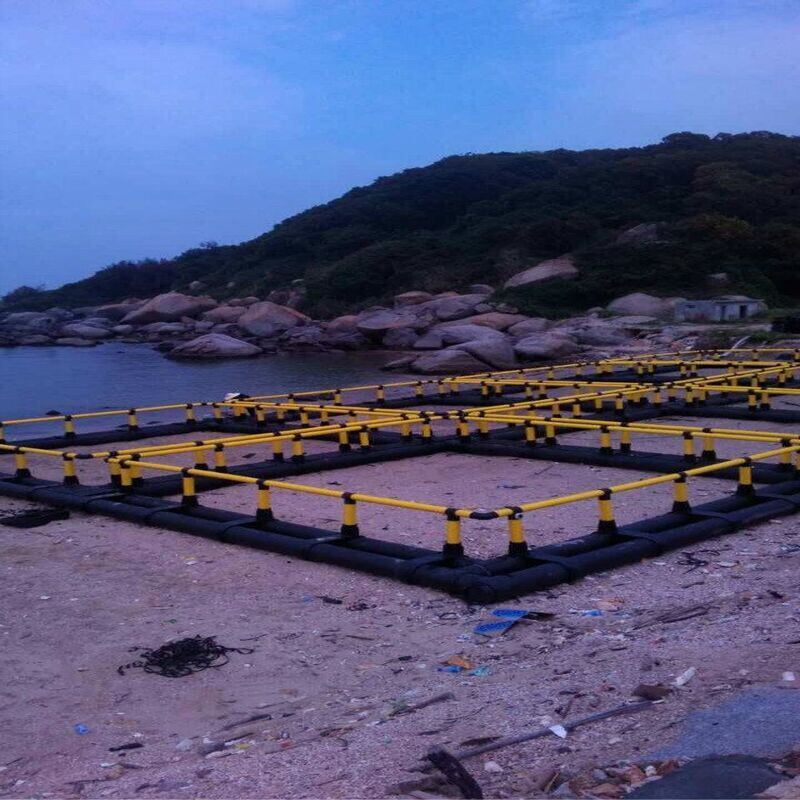 Square Floating Freshwater Integrated Fish Cage