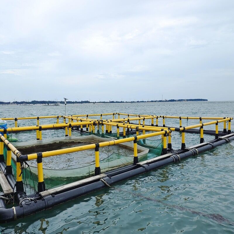 Square Floating Freshwater Integrated Fish Cage