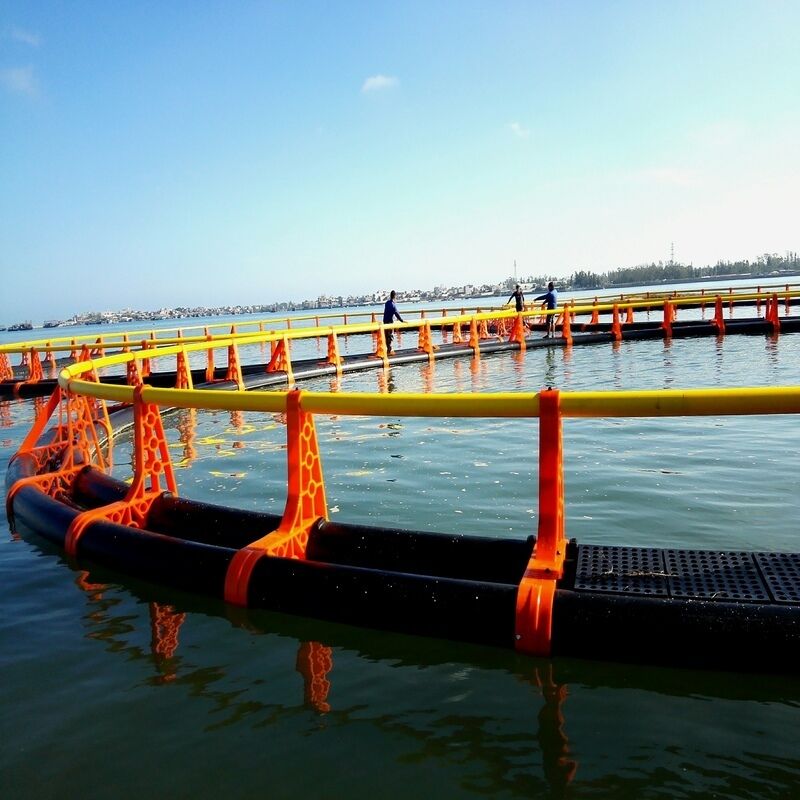 Multifunctional Customizable Aquaculture Fish Cage