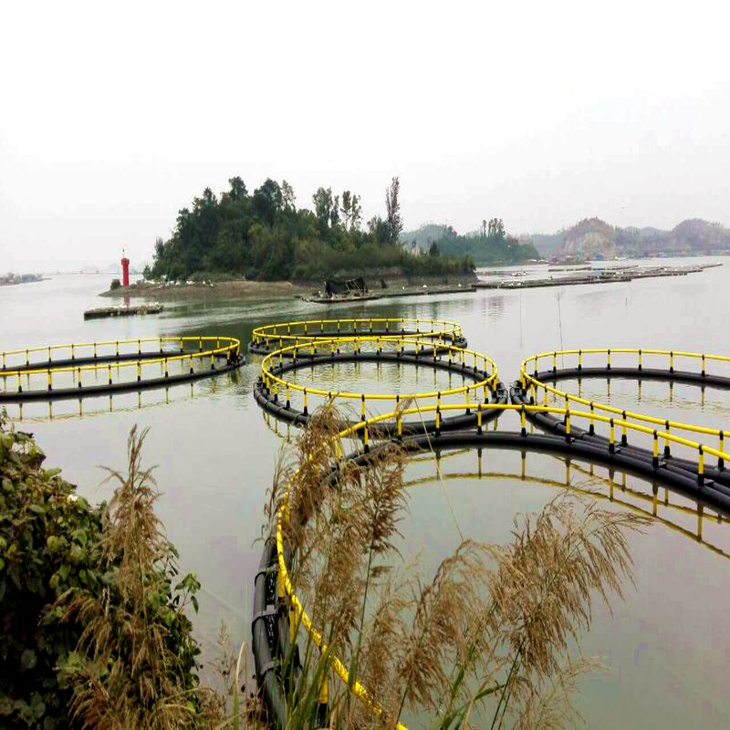 Large Reservoir Deep-water Fattening Fish Cage