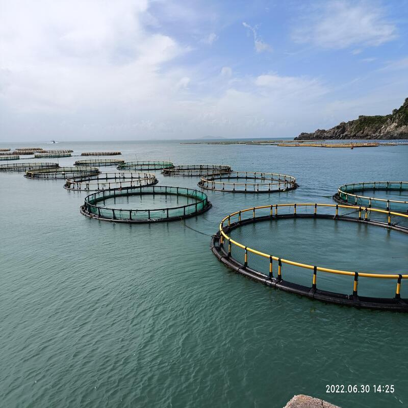 Large Reservoir Deep-water Fattening Fish Cage