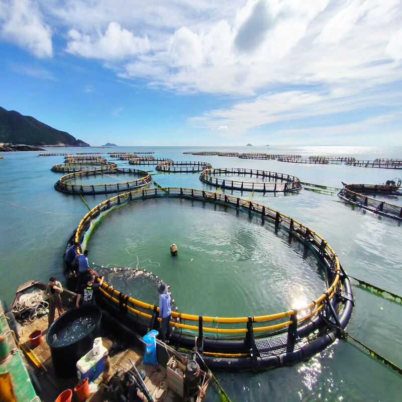Large Reservoir Deep-water Fattening Fish Cage