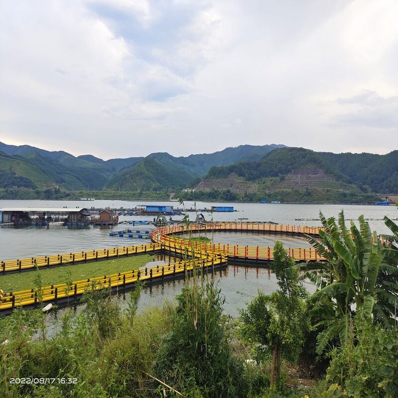 High-density Fry Hatching and Rearing Fish Cage