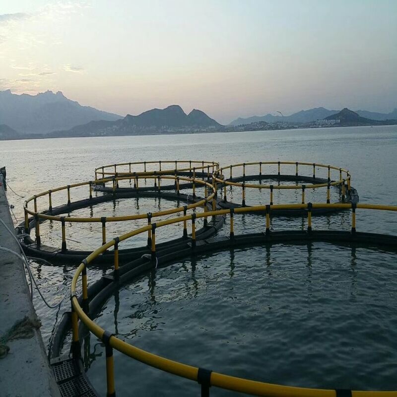 High-strength Impact-resistant Deep Sea Fish Cage