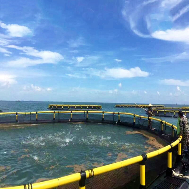 High-strength Impact-resistant Deep Sea Fish Cage
