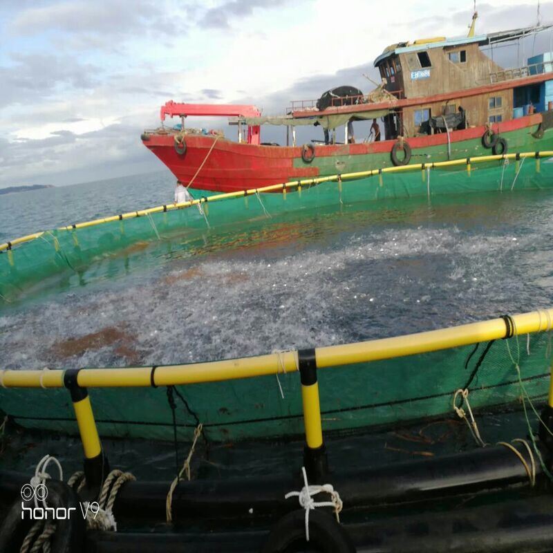 High-strength Impact-resistant Deep Sea Fish Cage
