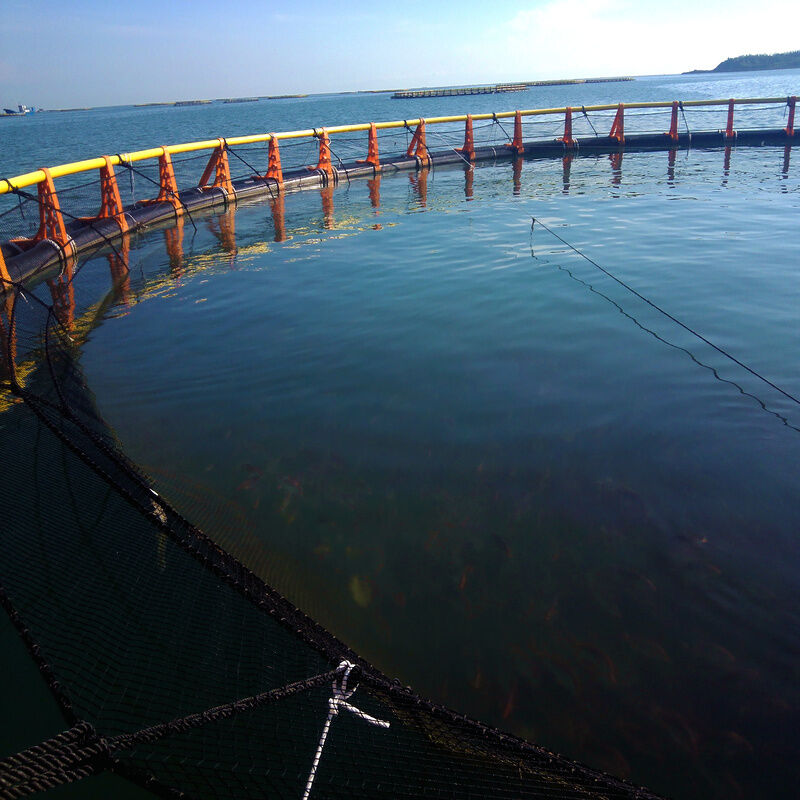 High-strength Impact-resistant Deep Sea Fish Cage
