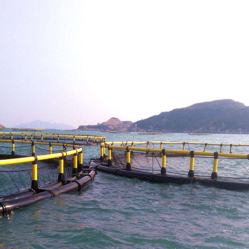 Wear-resistant Anti-aging Universal Fish Cage