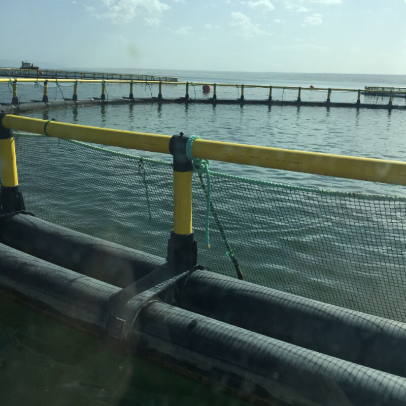 Wear-resistant Anti-aging Universal Fish Cage