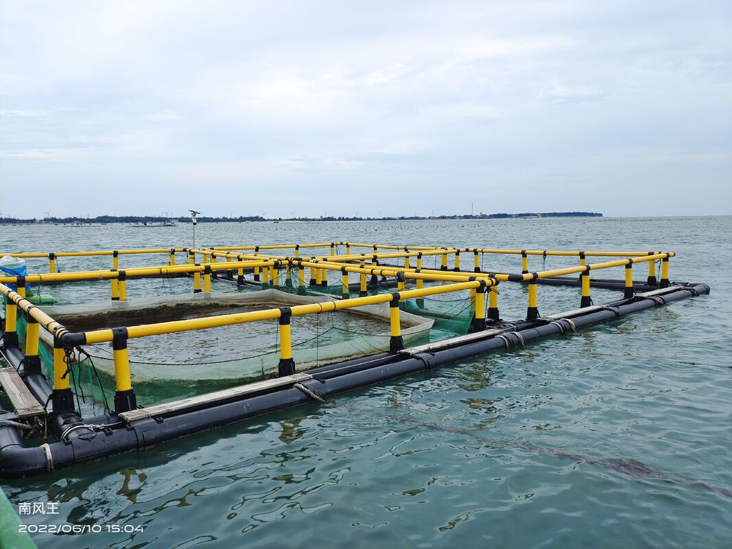 6m x 6m Square HDPE Fish Cage for Tilapia Farming with Multi-Cell Floating Net Cage