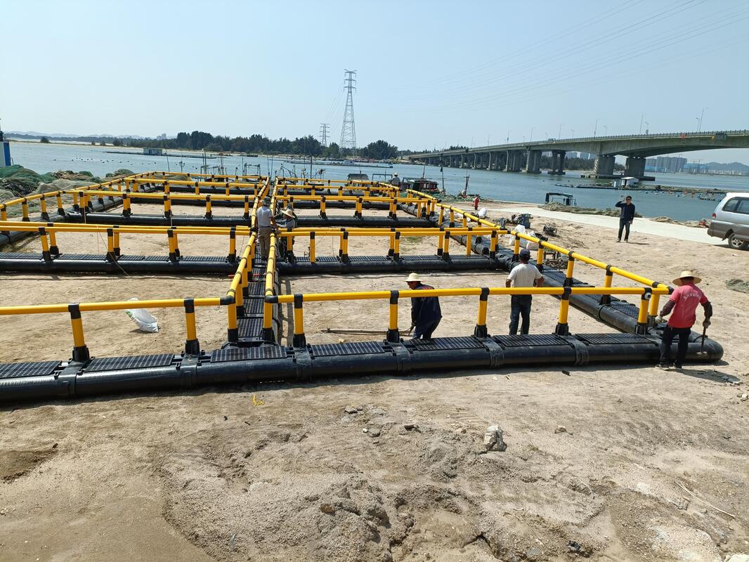 6m x 6m Square HDPE Fish Cage for Tilapia Farming with Multi-Cell Floating Net Cage