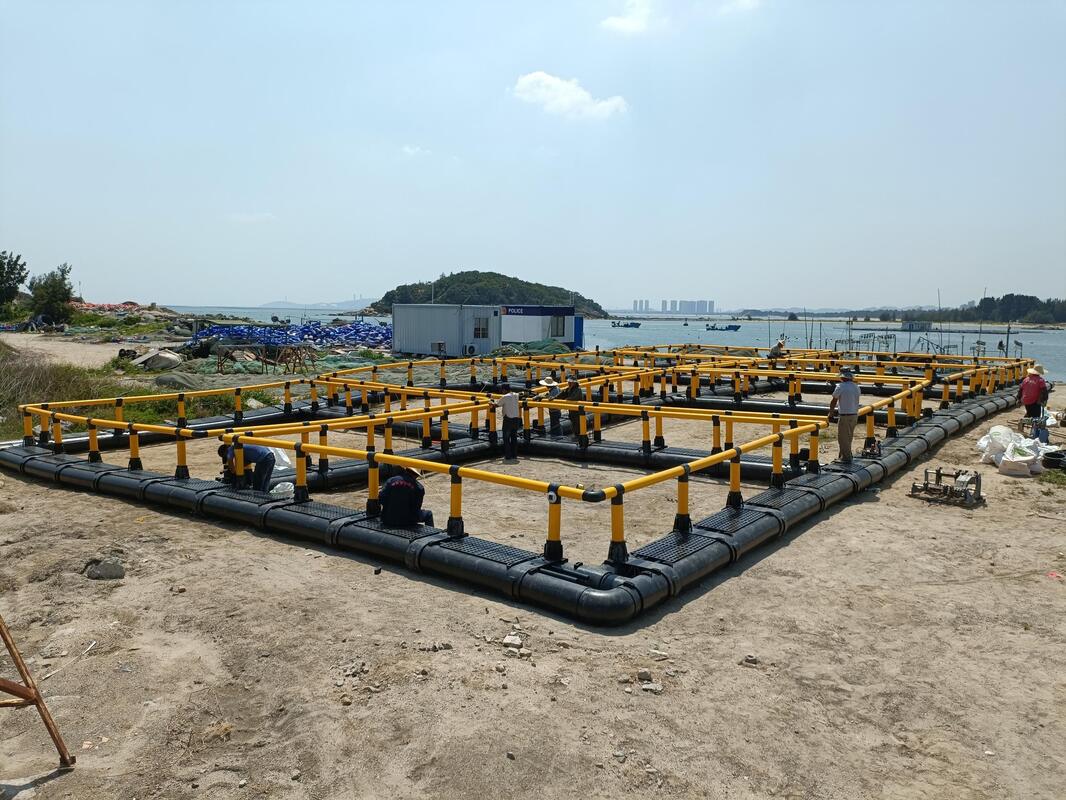 6m x 6m Square HDPE Fish Cage for Tilapia Farming with Multi-Cell Floating Net Cage