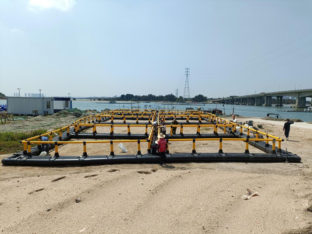 6m x 6m Square HDPE Fish Cage for Tilapia Farming with Multi-Cell Floating Net Cage