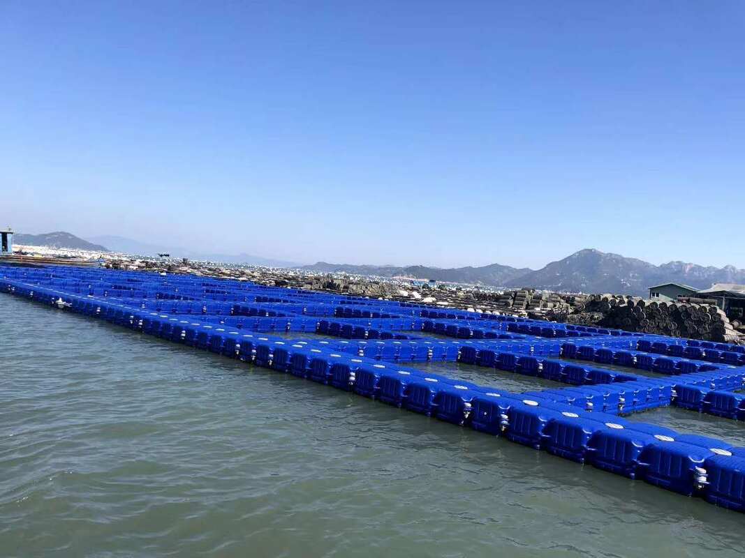 Economical HDPE floating pontoon aquaculture platform with 25‑year service life, supporting easy on‑site assembly for fish‑farm operations.