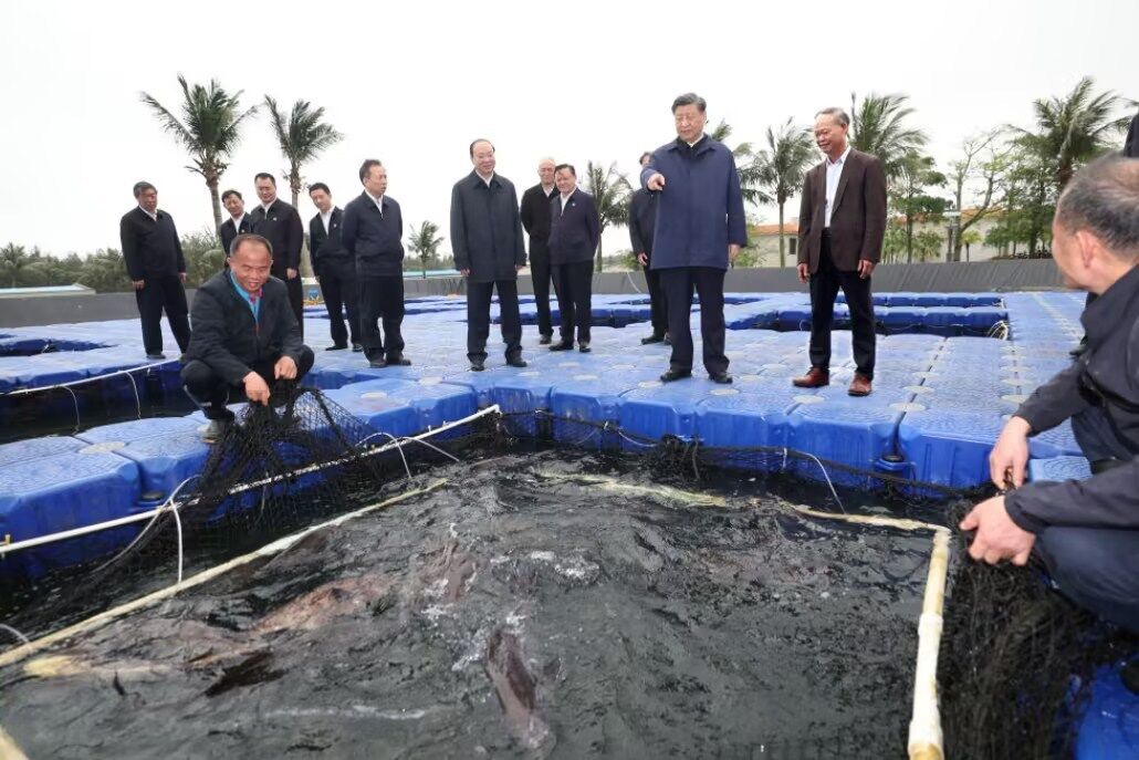 Economical HDPE floating pontoon aquaculture platform with 25‑year service life, supporting easy on‑site assembly for fish‑farm operations.