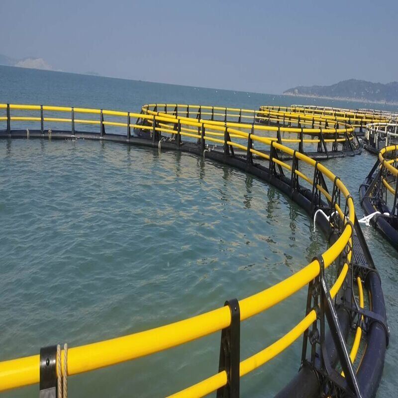 Custom HDPE Circular Floating Fish Cage Frame for Offshore Aquaculture