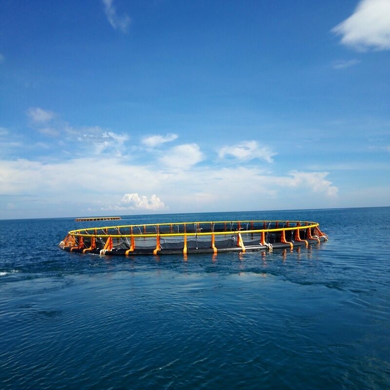 Custom HDPE Circular Floating Fish Cage Frame for Offshore Aquaculture