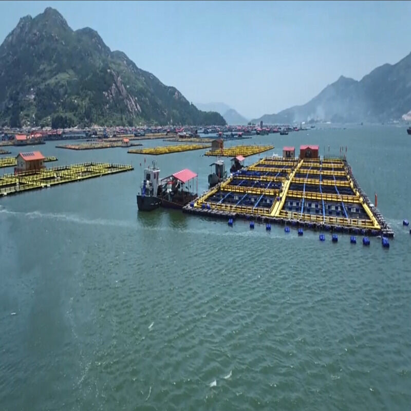 HDPE Square Floating Fish Cage Frame for Inland Lake & Reservoir Farming
