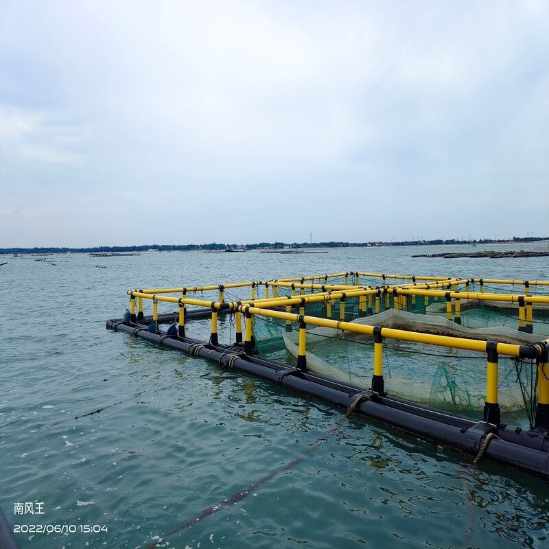 Large‑Diameter Anti‑Wave HDPE Fish Cage Frame for Open‑Sea Aquaculture