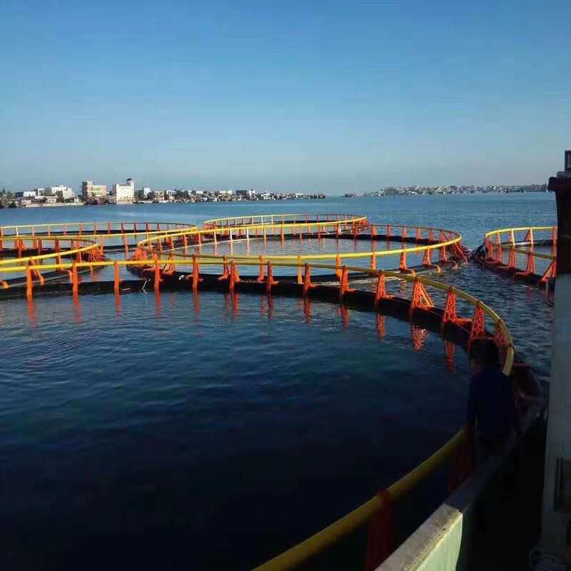 Modular Customizable HDPE Complete‑Set Fish Farming Cage