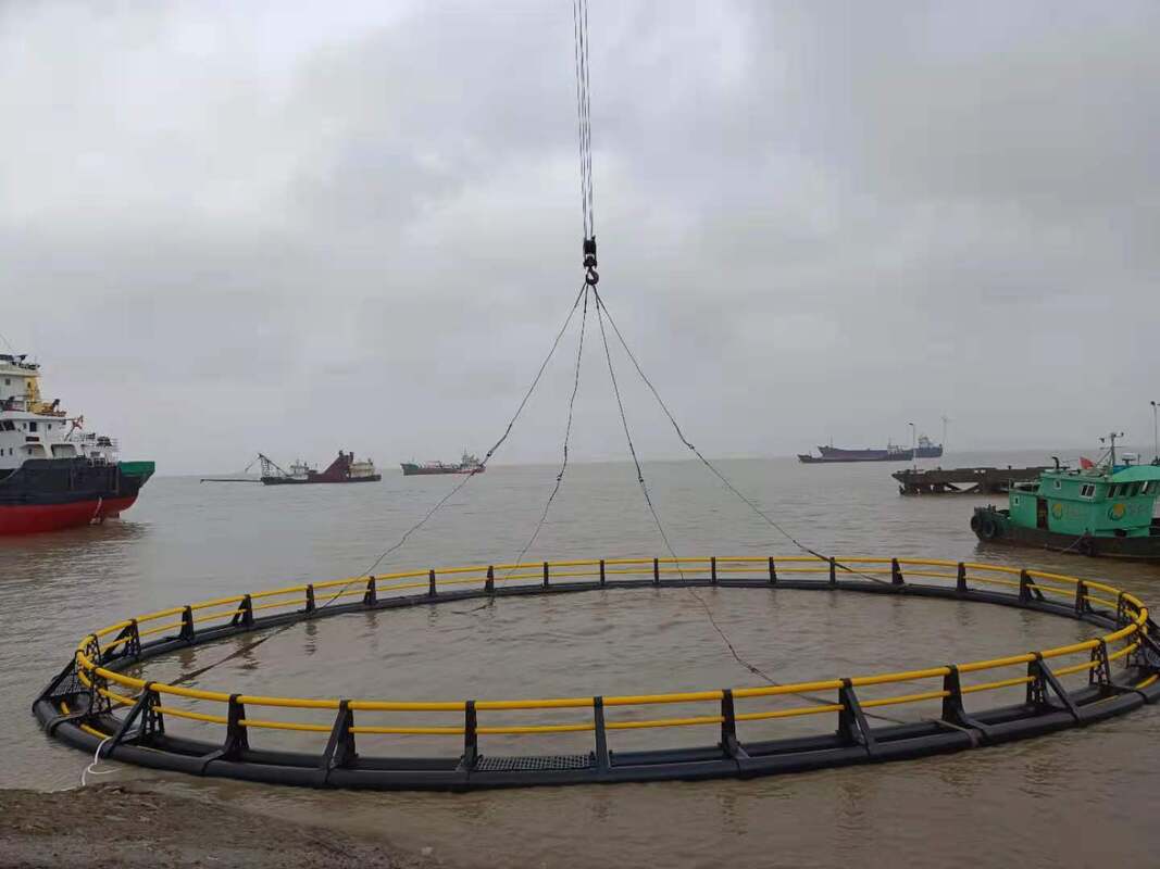 Boost Your Aquaculture Yield: HDPE Fish Cage With Significant Production Growth
