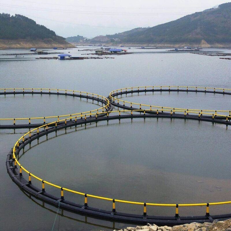 South America Chile Special HDPE Fish Cage Anti-wave Salt Alkali Resistant Aquaculture Cage