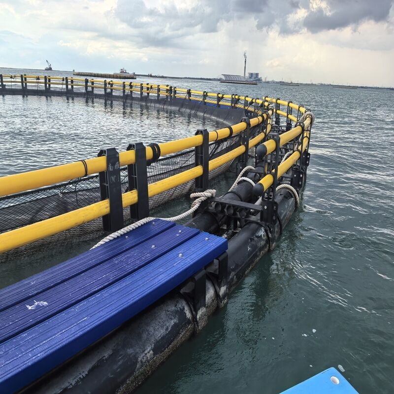 Customizable HDPE Fish Cage Complete Aquaculture Solution with Installation Guidance