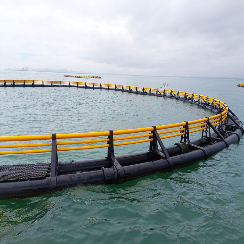 Customizable HDPE Fish Cage Complete Aquaculture Solution with Installation Guidance
