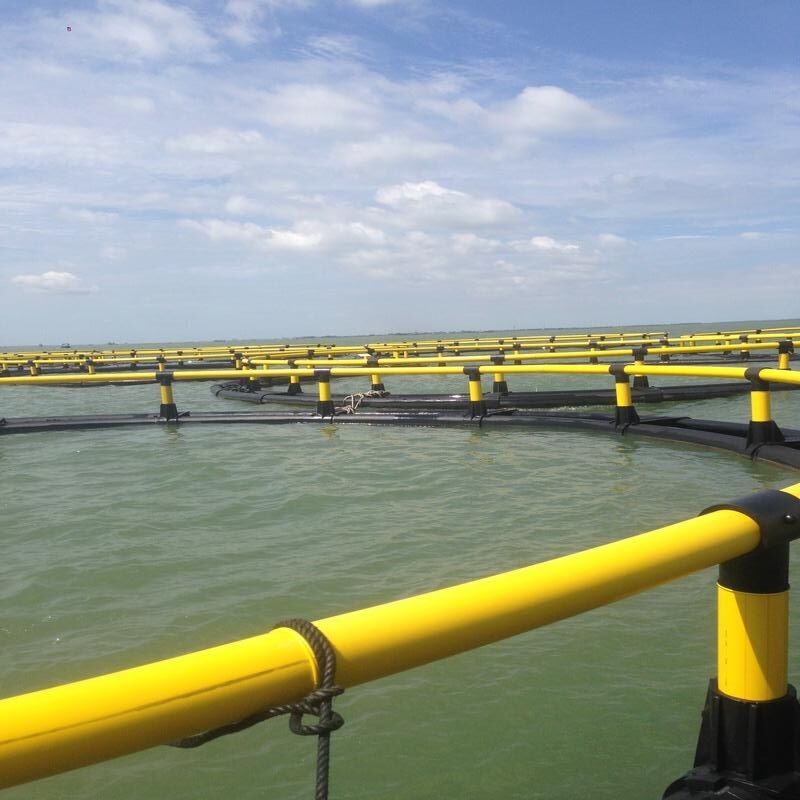 High Strength Welded HDPE Fish Cage Anti-current Anti-deformation Marine Cage