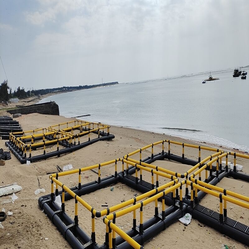 Eco-friendly HDPE Fish Cage Non-pollution Easy-clean Marine Aquaculture System