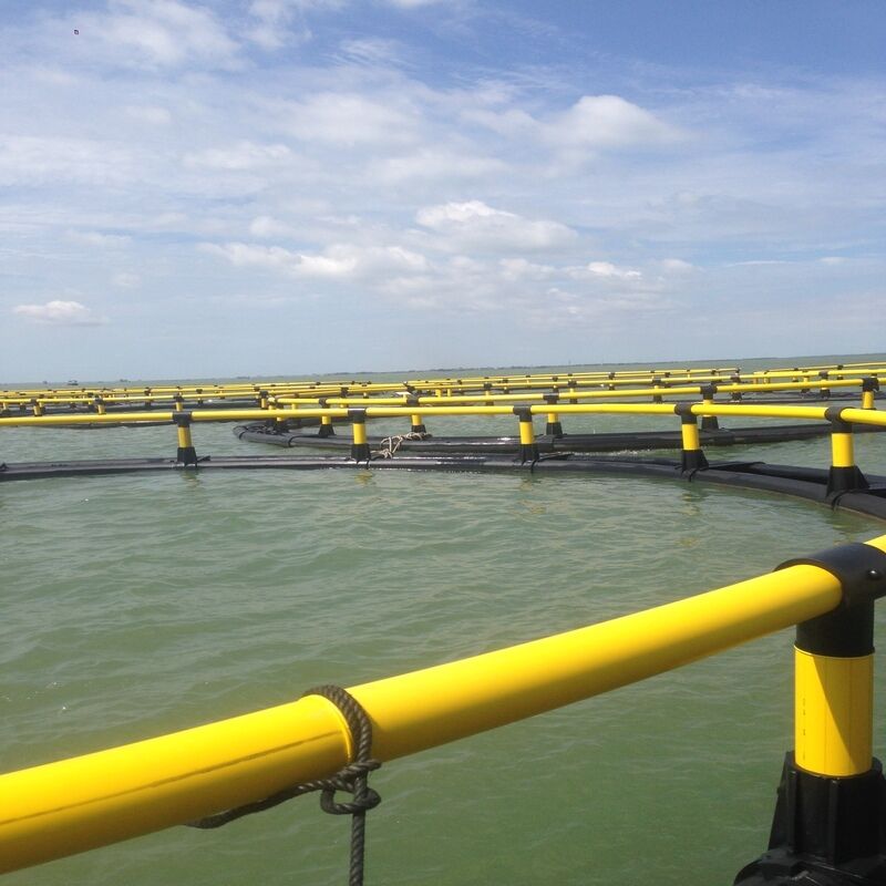 Large‑Circumference Round HDPE Offshore Aquaculture Cage, Big Water Volume For Sea Bass & Cobia Farming