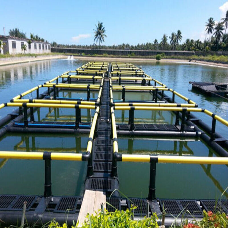 HDPE Deep Water Aquaculture Cage With Multiple Watertight Compartments, Anti‑Escape