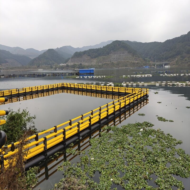 Integrated Platform of Floating Walkway and HDPE Fish Culture Cage