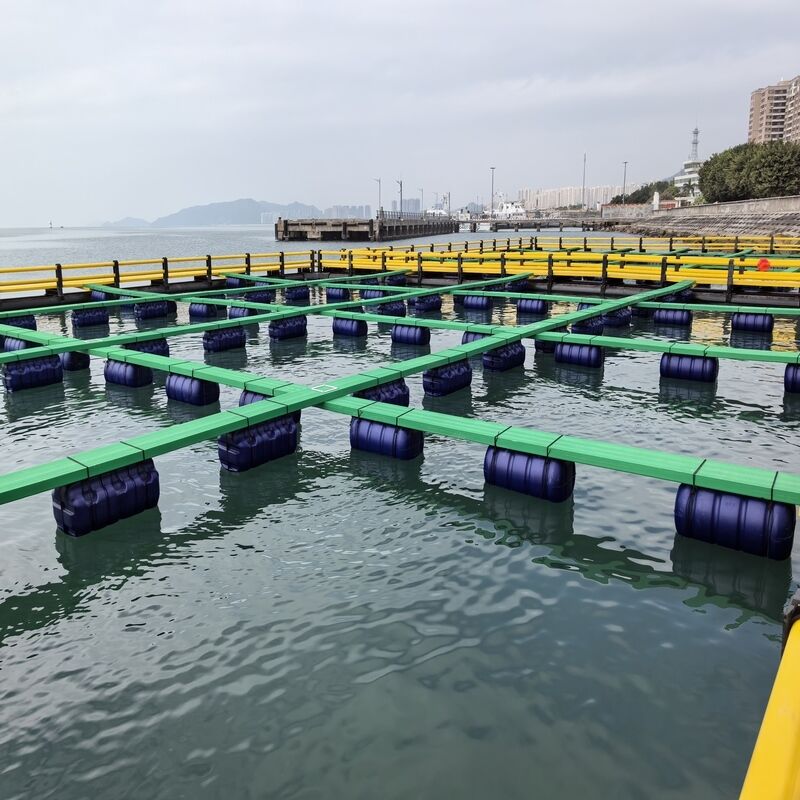 Anti‑Corrosion HDPE Fish Raft Cage, Specially For Tropical Seawater Farming