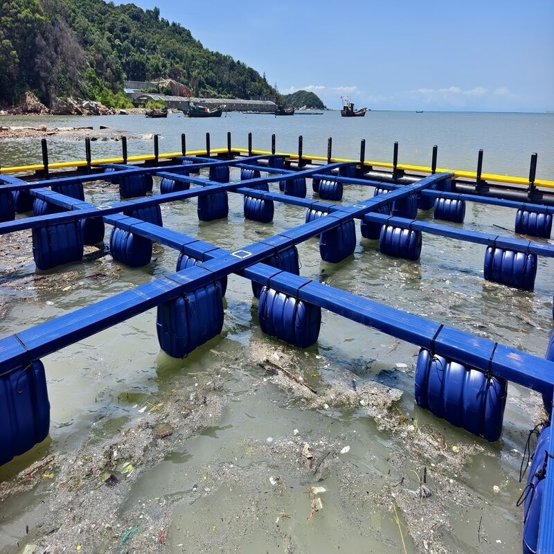 Anti‑Corrosion HDPE Fish Raft Cage, Specially For Tropical Seawater Farming
